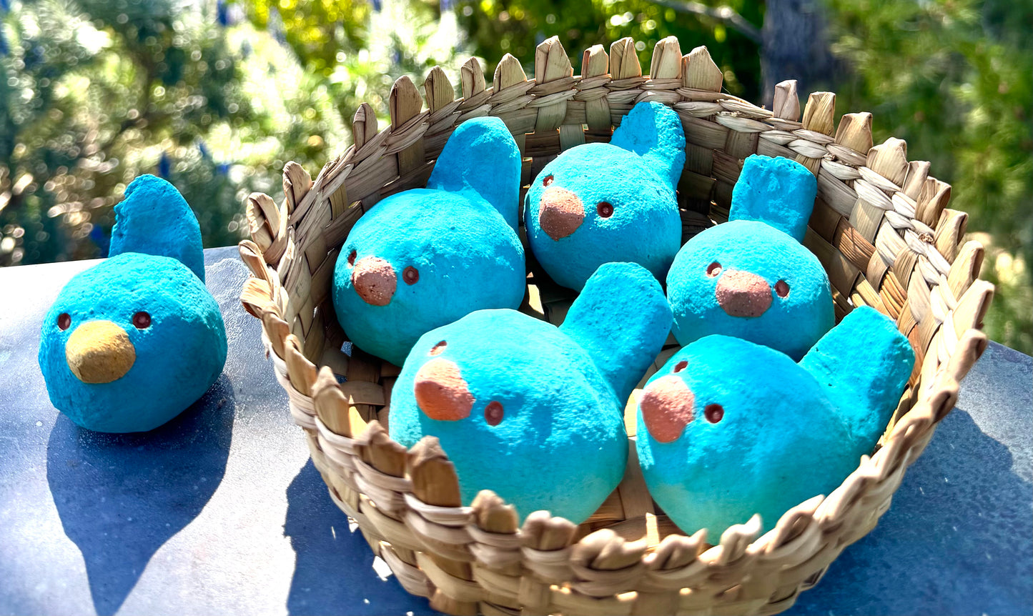 Blue Bird of Happiness